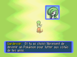 Des explications sur l'histoire.
