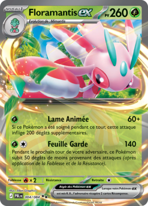 Carte Méga-Évolution Nuit Noire 004.png