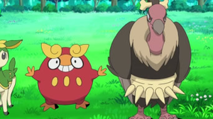 Darumarond de Catherine.png