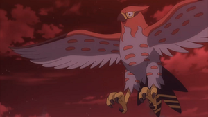 XY134 - Flambusard de Sacha.png