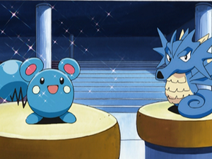 Azurill et Hypocéan de Juan.png