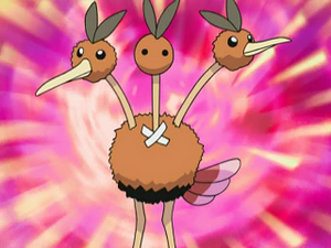 DP033 - Doduo d'un Dresseur.png
