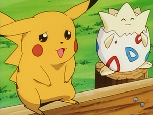EP065 - Pikachu de Sacha et Togepi d'Ondine.png