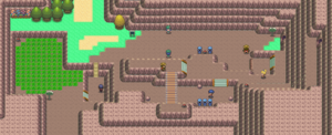 Route 207 DP.png