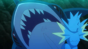 Sharpedo de Goh.png