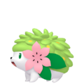 Shaymin