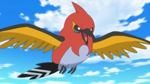 XY055 - Braisillon de Sacha.jpg