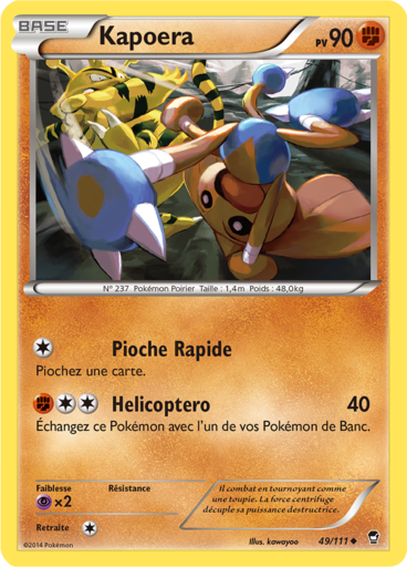 Kapoera (XY Poings Furieux 49)