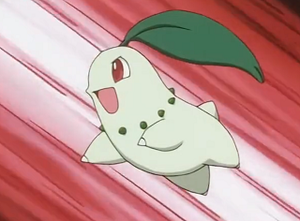 EP180 - Germignon de Sacha.png