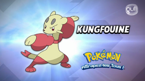 FR - QECP XY44.png