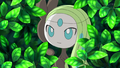 Meloetta (sauvage)