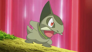 NB038 - Coupenotte d'Iris.png
