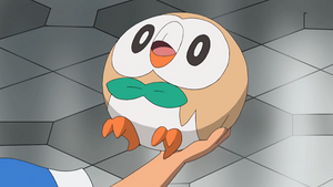 SL046 - Brindibou de Sacha.png