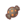 Bonbon Ptyranidur