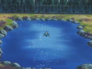 AG049 - Pensée - Arakdo.png