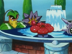 EP040 - Empiflor, Staross et Rafflesia d'un Dresseur.png