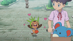 XY084 - Marill d'un Dresseur.png