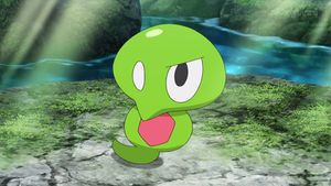 XY107 - Pouic.png