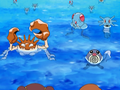 Krabboss, Tentacool et Hypotrempe (sauvages)