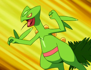 Jungko prêt à attaquer.png
