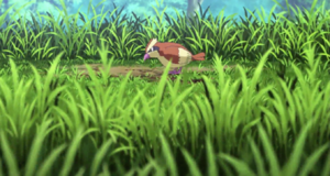 Roucool sauvage Film 20.png