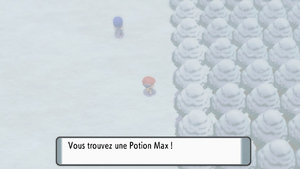 Route 217 Potion Max DEPS.png