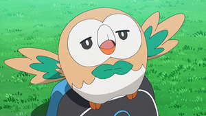 SL035 - Brindibou de Sacha.png