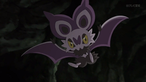 XY110 - Sonistrelle de Sacha.png