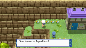 Aire de Survie Rappel Max DEPS.png