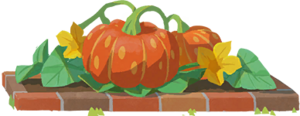 Amélioration Plant de potirons-CM.png