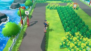 Expert Smogo.jpg