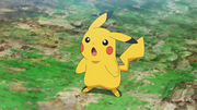 Pikachu(de Sacha)