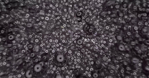 Zarbi sauvages - Film 10 Intro.png