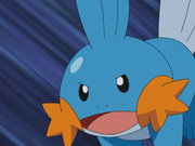 Gobou(de Pierre)