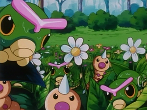 EP132 - Chenipan et Aspicot.png