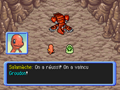 Groudon est vaincu.