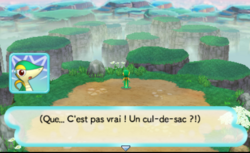 Le sommet est sans issue !