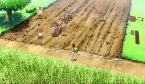 Tauros de paysans - Film 12.png