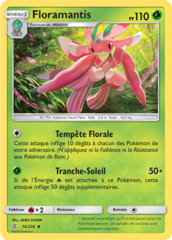 Floramantis (Soleil et Lune Harmonie des Esprits 16)