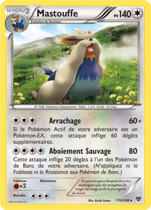 Carte XY 110.png