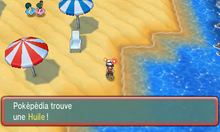 Chenal 109 Huile ROSA.png