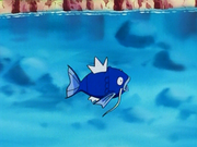 Magicarpe(sauvage)