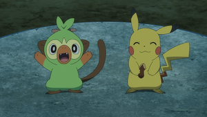 LV083 - Ouistempo de Goh et Pikachu de Sacha.png