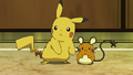 Pikachu (de Sacha) et Dedenne (de Lem)