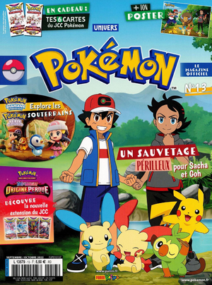 Univers Pokémon - 13.png