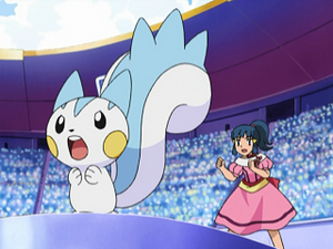 DP078 - Pachirisu d'Aurore.png