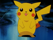 Pikachu(de Sacha)