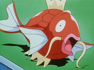 EP027 - Magicarpe d'un Dresseur.png