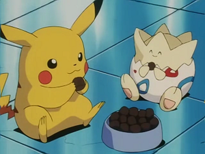 EP164 - Pikachu de Sacha et Togepi d'Ondine.png
