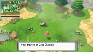 Grotte de la Rivière Gros Champi DEPS.png